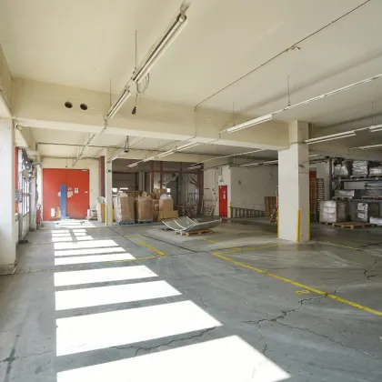 Eigenständiges Lagerhaus mit Bürofläche in bester Lage direkt auf der Richard-Strauss-Strasse! - Bild 3