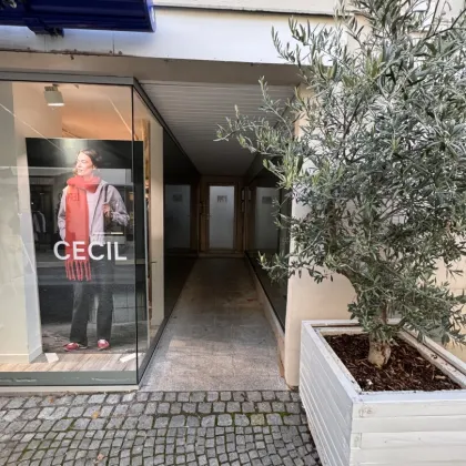 Bezauberndes Krems- vermietetes Stadthaus im Herzen der Kremser Innenstadt - Bild 3