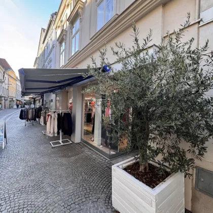 Bezauberndes Krems- vermietetes Stadthaus im Herzen der Kremser Innenstadt - Bild 2