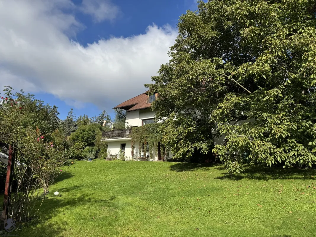 Einfamilienhaus mit großem Keller und traumhaftem Wald-Blick - Bild 1