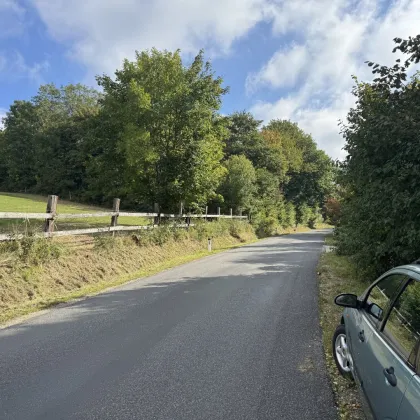 Einfamilienhaus mit großem Keller und traumhaftem Wald-Blick - Bild 3