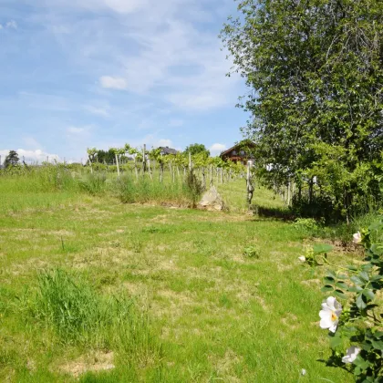 Sehr charmante 4-Zimmer-Gartenwohnung in idyllischer Lage in Sankt Bartholomä – Ihr neues Zuhause im Grünen! - Bild 3
