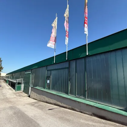 Großzügige Fläche mit vielseitiger Nutzung: Lager, Büro oder Gewerbe – 232 m² - Bild 3