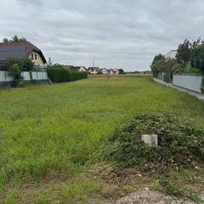TOP ! KORNEUBURG - Grundstücke in verschiedenen Größen in schöner Siedlungslage ! - Bild 2