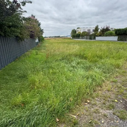 TOP ! KORNEUBURG - Grundstücke in verschiedenen Größen in schöner Siedlungslage ! - Bild 3