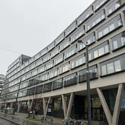 AUSTRIA CAMPUS UNTERMIETE 4 Jahre! Exklusive Bürofläche in 1020 zu vermieten! - Bild 2