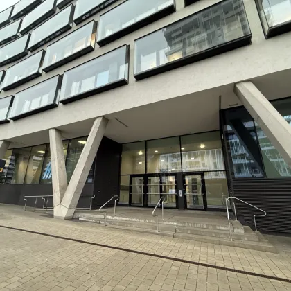 AUSTRIA CAMPUS UNTERMIETE 4 Jahre! Exklusive Bürofläche in 1020 zu vermieten! - Bild 3