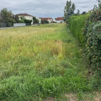 TOP ! KORNEUBURG - Grundstücke in verschiedenen Größen in schöner Siedlungslage ! - Bild 3