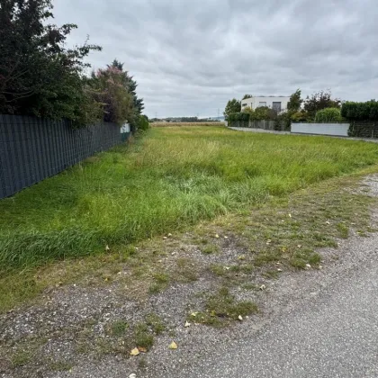 TOP ! KORNEUBURG - Grundstücke in verschiedenen Größen in schöner Siedlungslage ! - Bild 2