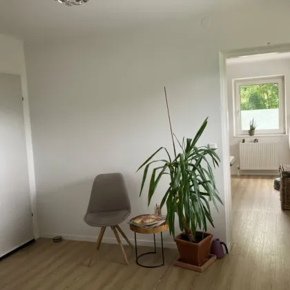 Durchstarten am Kai - Bild 3