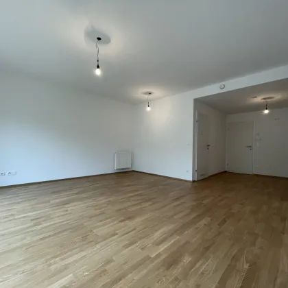 2-Zimmer-Gartenwohnung in Hafnerbach – Ruhige Lage nahe St. Pölten - Bild 2