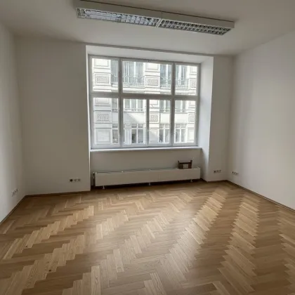 "ERSTBEZUG" - Neu saniertes Büro auf Wipplingerstraße - Bild 3