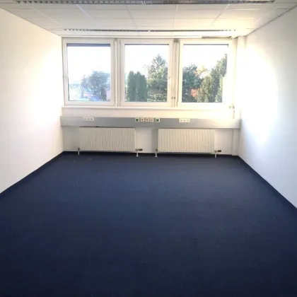 Lager/Büro - im Wirtschaftspark Mosetiggasse - Bild 3