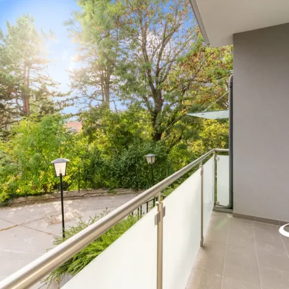 Neurenovierte 6-Zimmer-Wohnung mit  Terrasse in den Garten, Balkonen und Grünblick! - Bild 3
