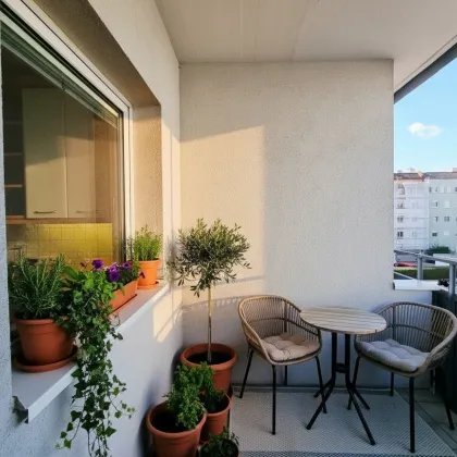 3-Zimmer-Wohnung mit Loggia & Stellplatz – ruhige Lage nahe Traisenpark & Viehofner Seen - Bild 2