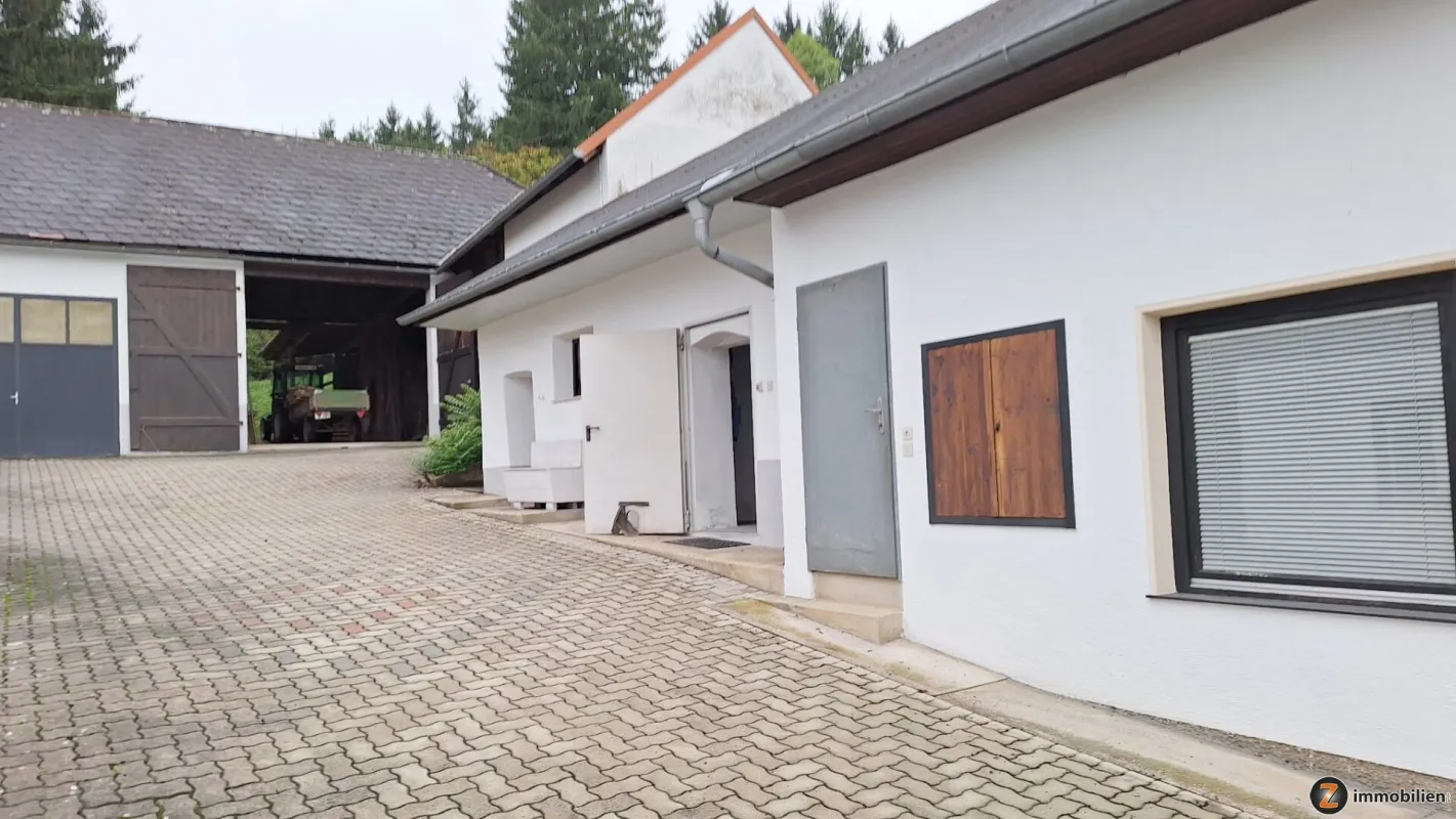 Haus mit viel Grund in der burgenländischen Weinidylle - Bild 1