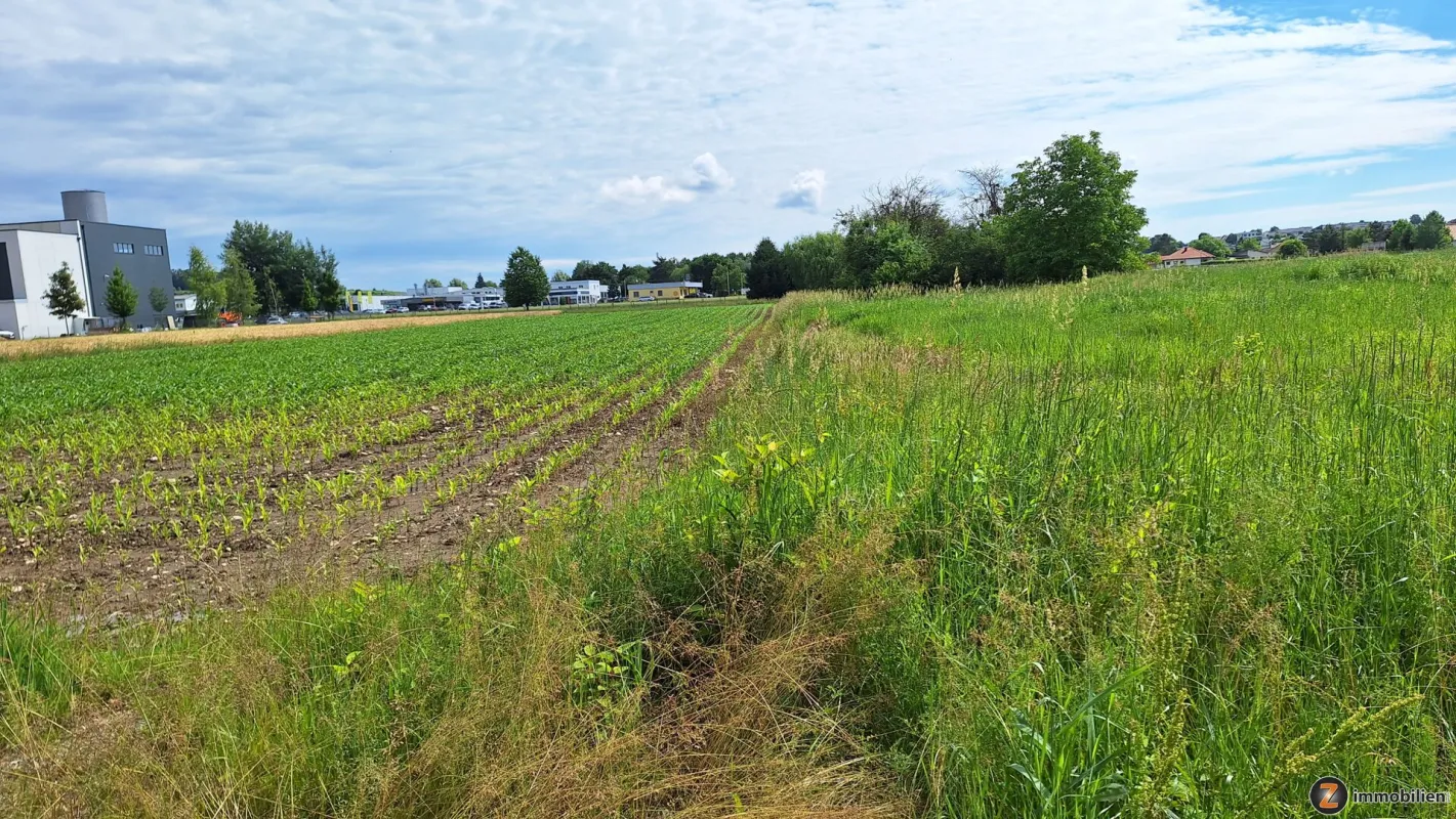 Oberwart: Betriebsbaugrund am Stadtrand! - Bild 1