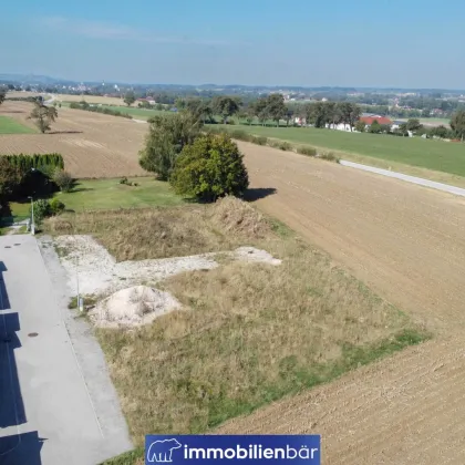 Top Grundstück mit Potenzial in Seitenstetten - Bild 2