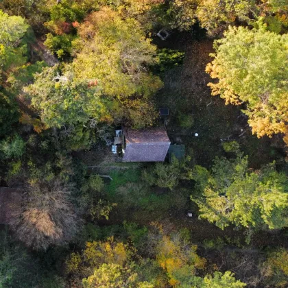 Unglaubliches Erholungsrefugium I Einzigartiges Jagdhäuschen auf Eigengrund nächst Lainzer Tiergarten! - Bild 2