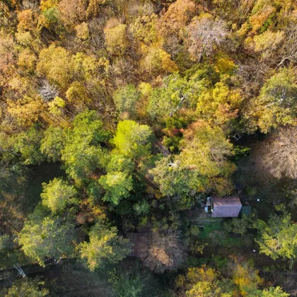 Unglaubliches Erholungsrefugium I Einzigartiges Jagdhäuschen auf Eigengrund nächst Lainzer Tiergarten! - Bild 3