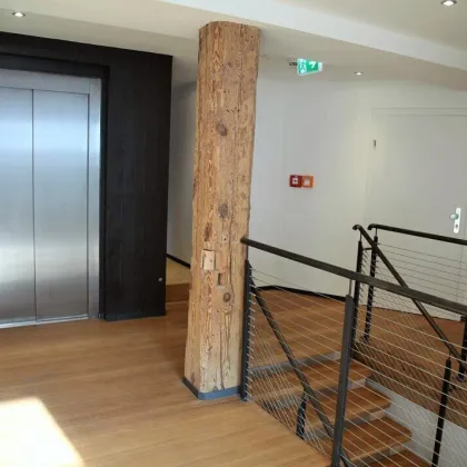 Anlegerpaket: Vier Wohnungen in historischem Gebäude - Bild 2