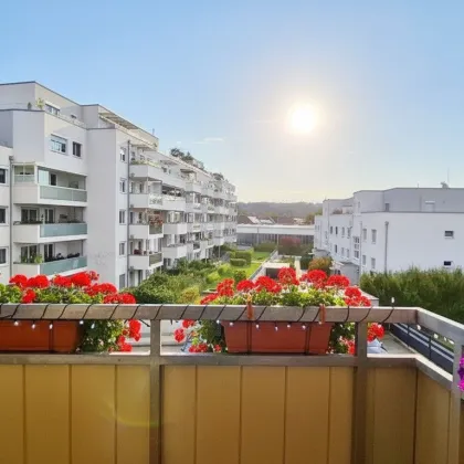 Schöne 3 Raum Wohnung in Wels - Bild 3