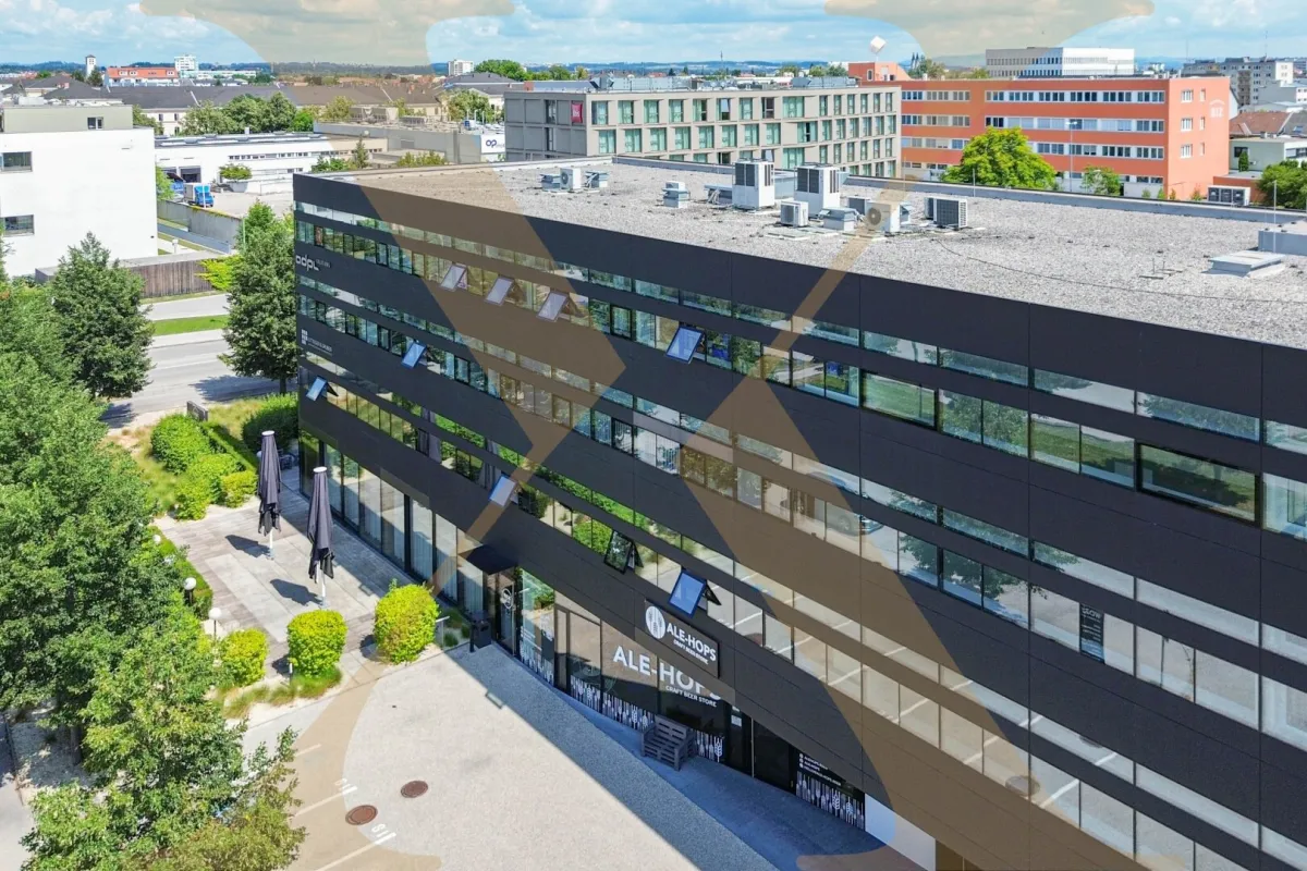 Klimatisierte Bürofläche mit optimaler Verkehrsanbindung im WDZ 7 in Wels/Lichtenegg zu vermieten! - Bild 1