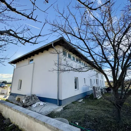 GEWERBEIMMOBILIE MIT 2 GEBÄUDEN IN GERASDORF ZUM SCHNÄPPCHENPREIS - Bild 2