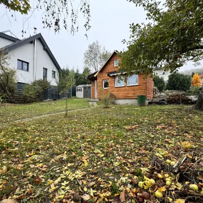 BAUGRUNDSTÜCK MIT SOMMERHAUS - Bild 2