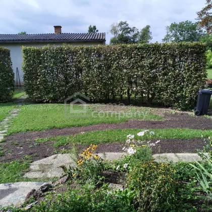 Modernisiertes Einfamilienhaus zum Fertigstellen: Ihr Traumhaus mit riesigem Garten in wunderschöner Lage! - Bild 3