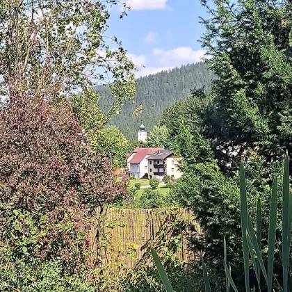 Idyllisch gelegenes Familienhaus - Beste Lage in RATTEN/ oberes Feistritztal/ JOGLLAND - mit traumhaftem, ebenen Gartengrund - Bild 3