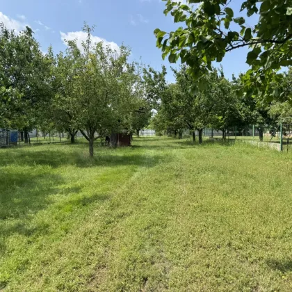 Sonniges Grundstück in Kittsee – 1.528 m² für Ihr Traumprojekt - Bild 2