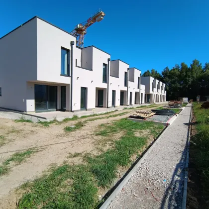 Stadt trifft Natur: Reihenhaus in wundervoller Lage mit vielen Extras! - Bild 3
