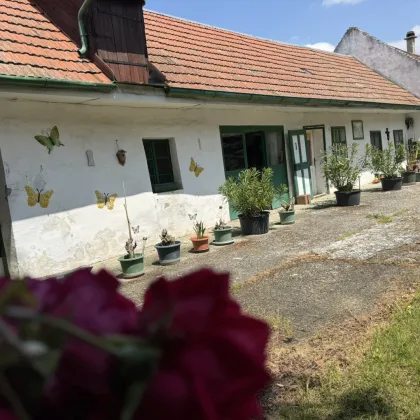 Historisches Anwesen mit 1.457m² großem Grundstück in Kittsee – ideal auch für Bauträger - Bild 3