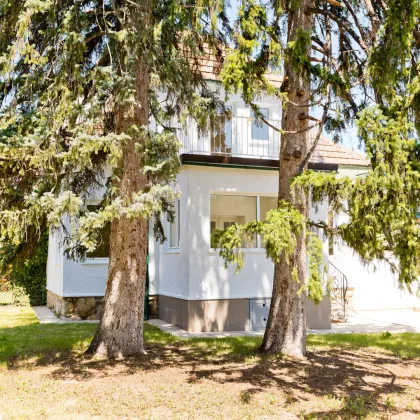 Zentrumsnahes charmantes Haus mit Pool und Garage - perfekt für Pärchen oder mit Potential für Familien - Bild 3