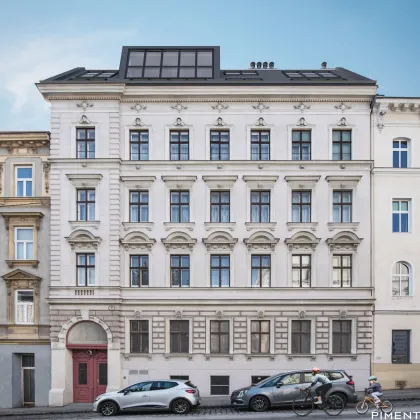 Altbauwohnung mit Terrasse im Erstbezug - CHIC and BRICK - Holochergasse 9 - Bild 2
