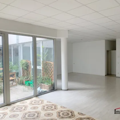 Nettes, ruhiges Büro nahe Auer-Welsbachpark - Bild 3