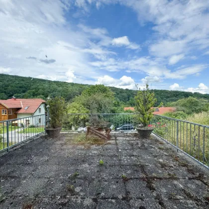 Einfamilienhaus mit 708 m2 Garten in Purkersdorf am Sagberg mit 287 m2 Nutzfläche zu vermieten! Private oder gewerbliche Nutzung möglich! Arbeiterquartier! - Bild 3