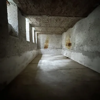 Seltene Gelegenheit: Sehr hohes, geräumiges Kellermagazin mit Tageslicht und Fenstern zum Hof, Wasser- und Stromanschluss und WC - Bild 2