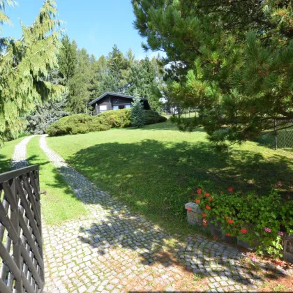 CHRISTOPH CHROMECEK IMMOBILIEN - SULZ IM WIENERWALD - Traumhafter Baugrund mit Blockhaus in Grün-Ruhelage! - Bild 3