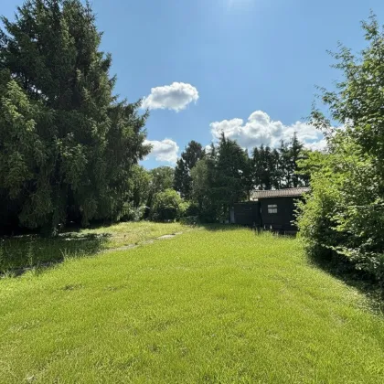Grundstück 635 m² mit Abrissobjekt am Wolfersberg - Bild 2