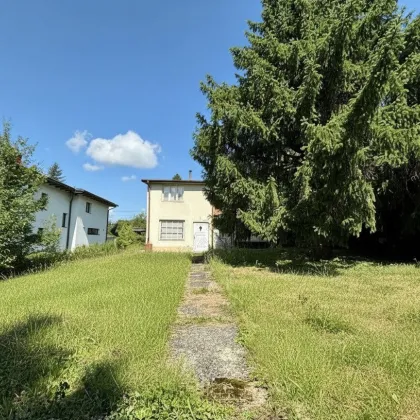Grundstück 635 m² mit Abrissobjekt am Wolfersberg - Bild 3