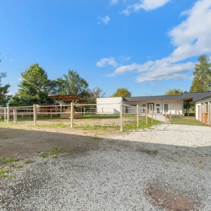 Fohnsdorf: Seltene Gelegenheit - modernes Einfamilienhaus mit Pferdehaltung & Praxisfläche - Bild 3