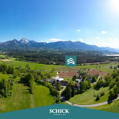 Hier lacht das Leben - Bild 2