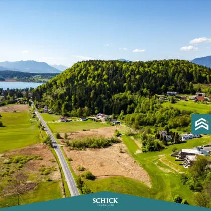 Hier lacht das Leben - Bild 3