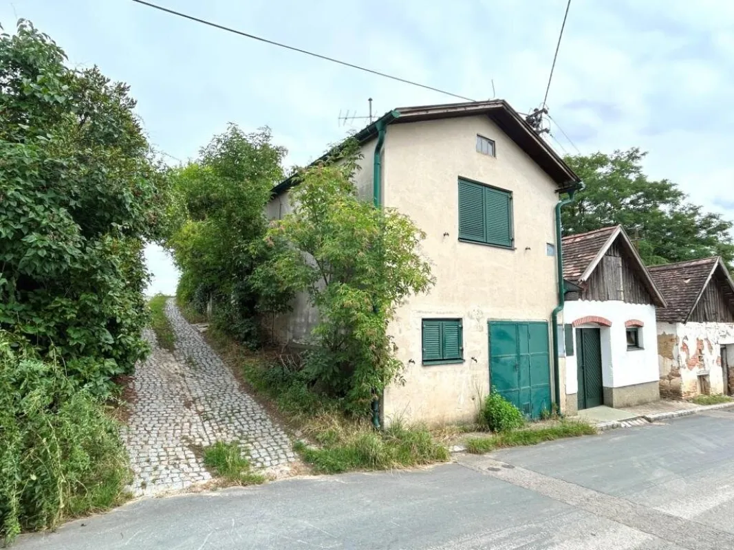 Presshaus in Haugsdorf mit landwirtschaftlichen Grundstücken - Bild 1