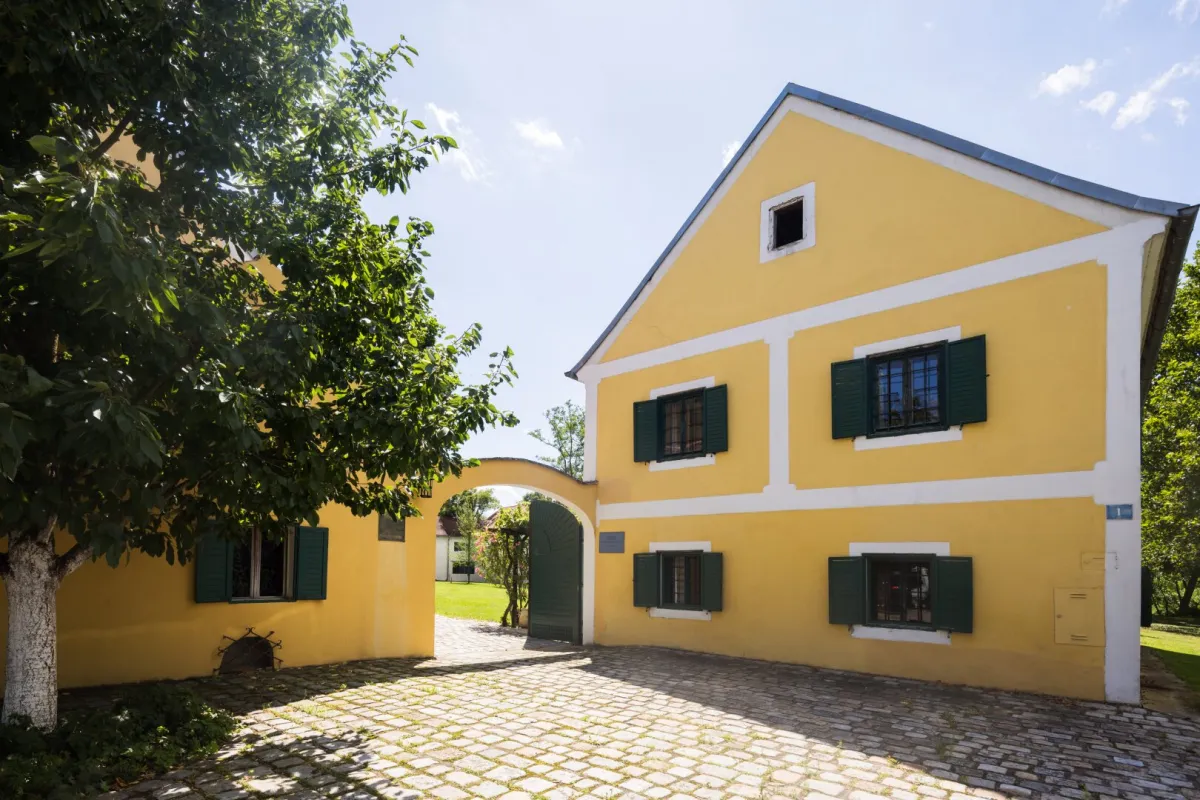 Historische Mühle inmitten von Wiesen und Feldern, nur unweit von Wien - Bild 1