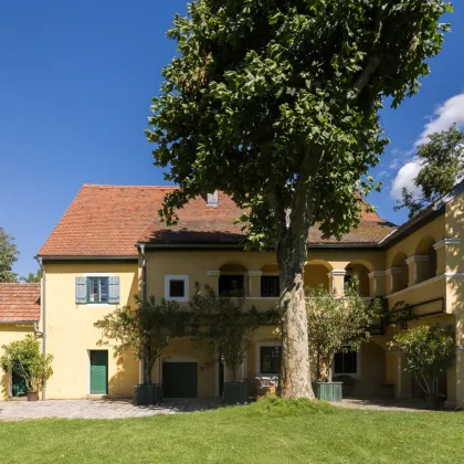 Historische Mühle inmitten von Wiesen und Feldern, nur unweit von Wien - Bild 3