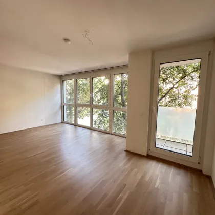 Hell und modern! Top 2-Zimmer Wohnung nahe U6, Millennium City und Donau! Ab 01.01.2026 - Bild 3