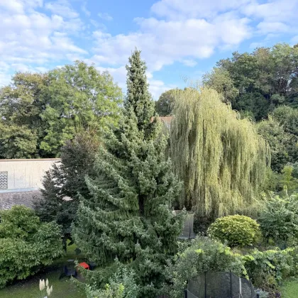 3 Zimmer mit Balkon und Kirchenspitze! - Bild 3